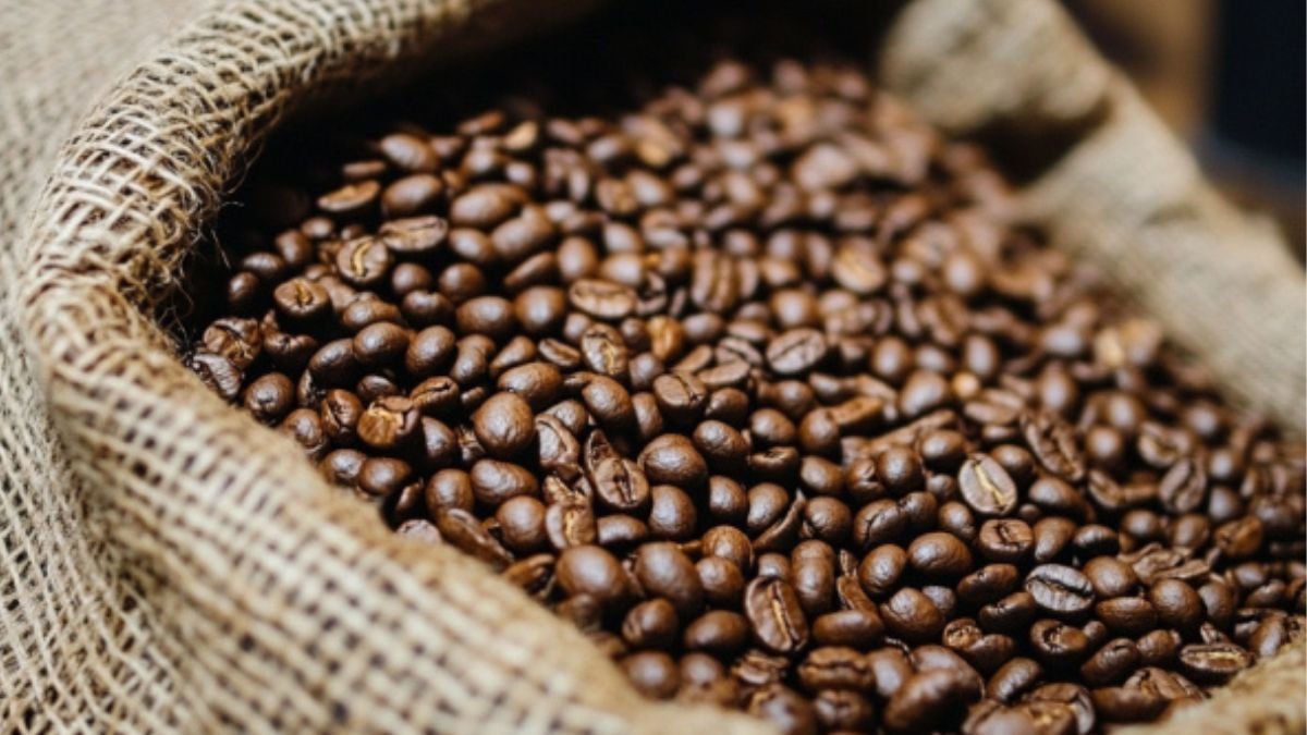 exploring the coffee bean processing methods